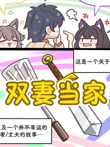 双妻当家,双妻当家漫画